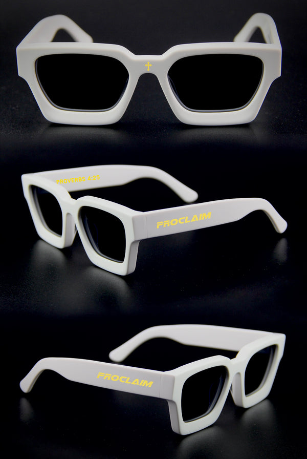 PROCLAIM VSN Sunglasses  (White)