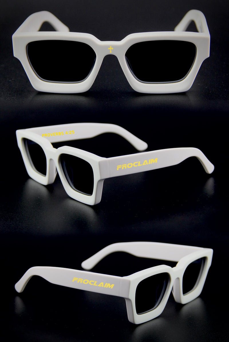 PROCLAIM VSN Sunglasses  (White)