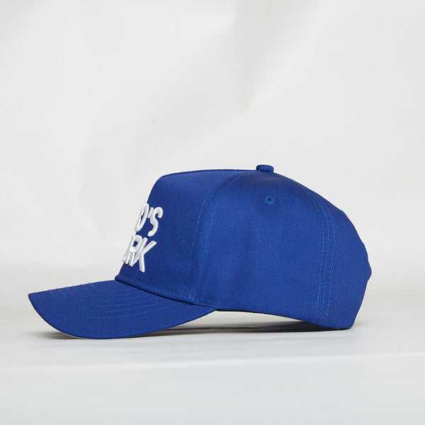 God’s Work- Signature Series Cobalt Snap-Back